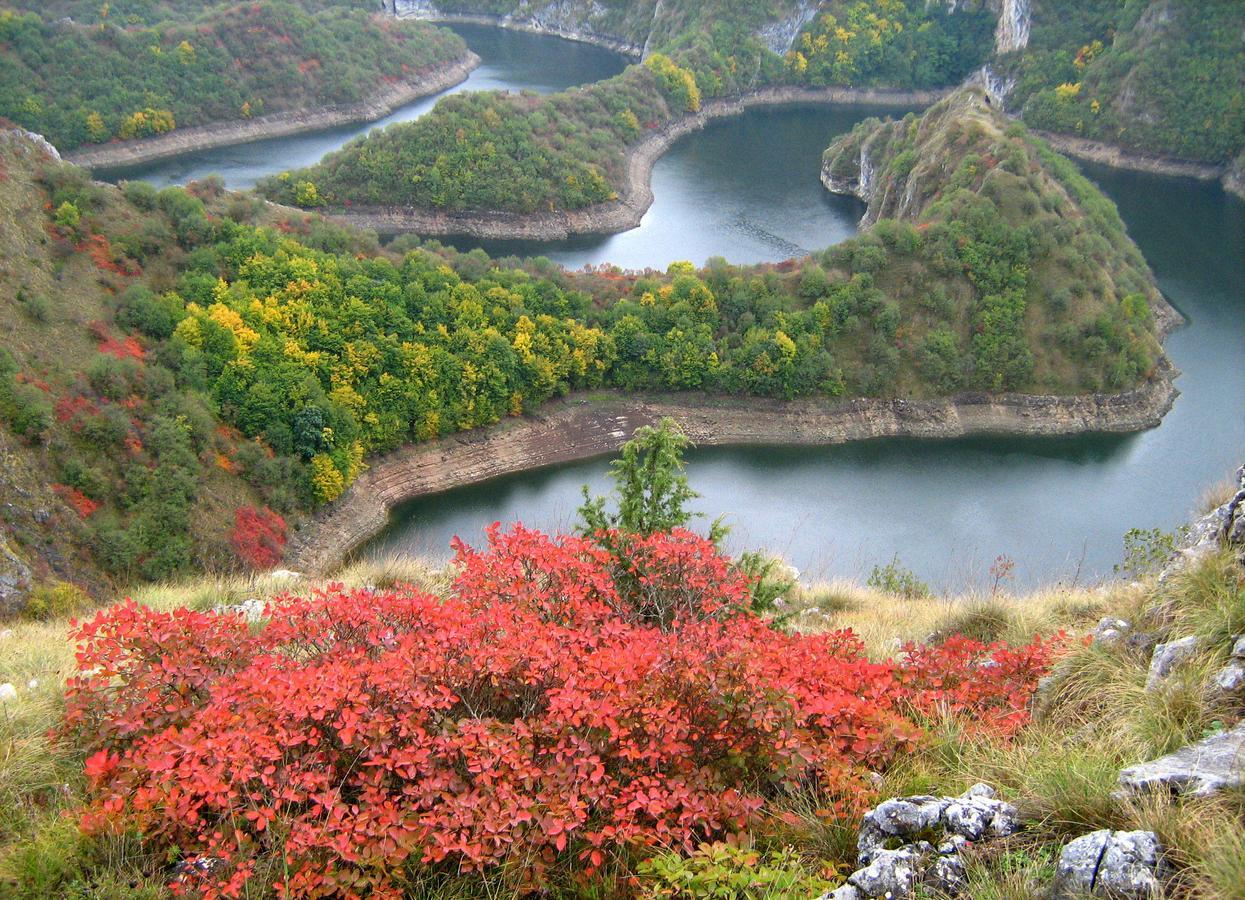 Prijepolje B&B Hisar International المظهر الخارجي الصورة